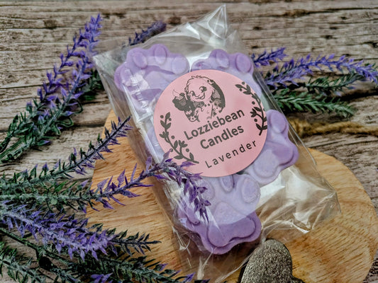 Floral & Fruity Scented Soy Wax Melts shaped like Paw prints | Made in the UK | Pack of 5