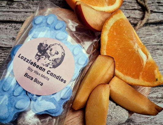 Floral & Fruity Scented Soy Wax Melts shaped like Paw prints | Made in the UK | Pack of 5