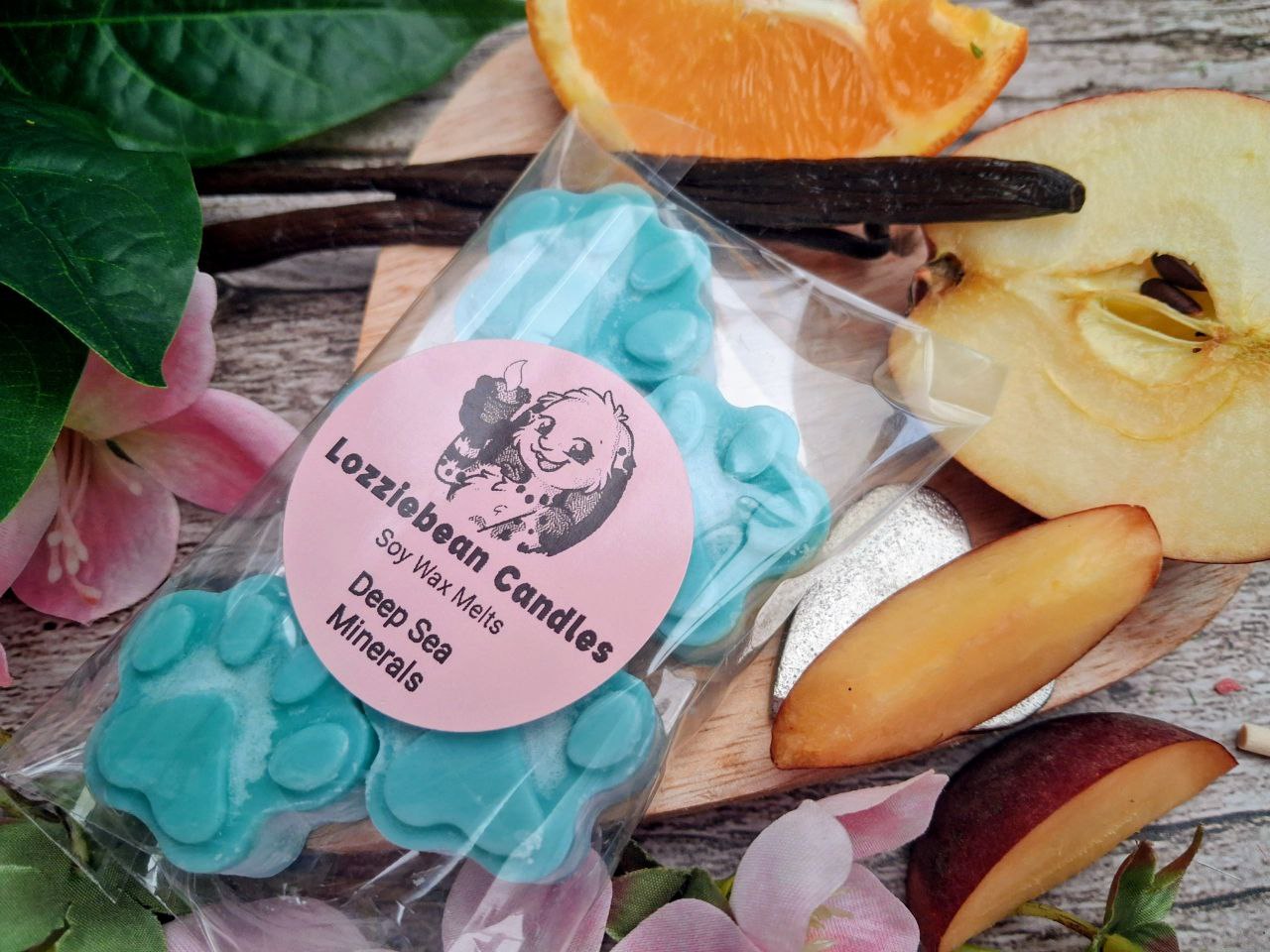 Relaxing Scented Soy Wax Melts shaped like Paw prints | Made in the UK | Pack of 5